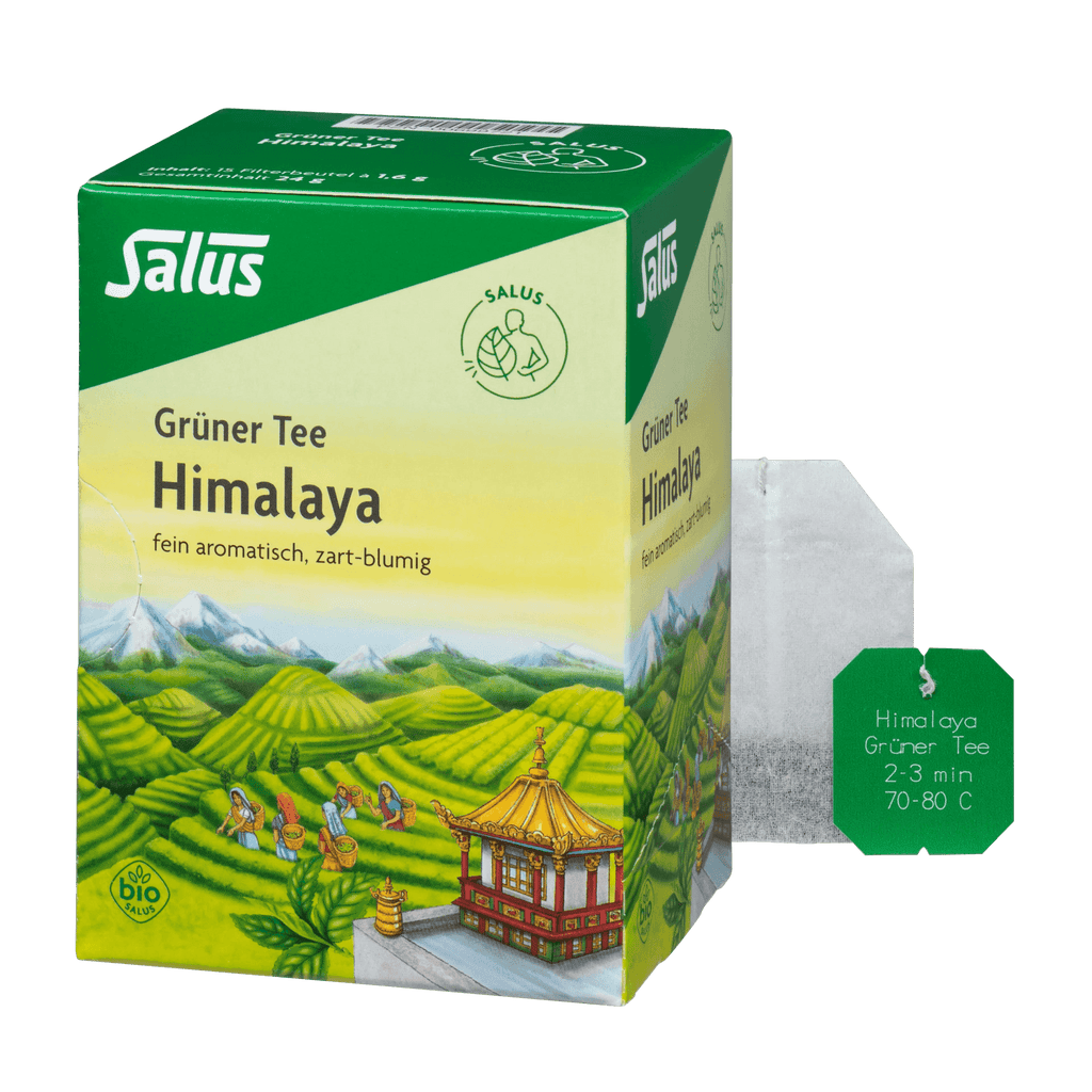 Salus Grüner Tee Himalaya 15 Filterbeutel Bio