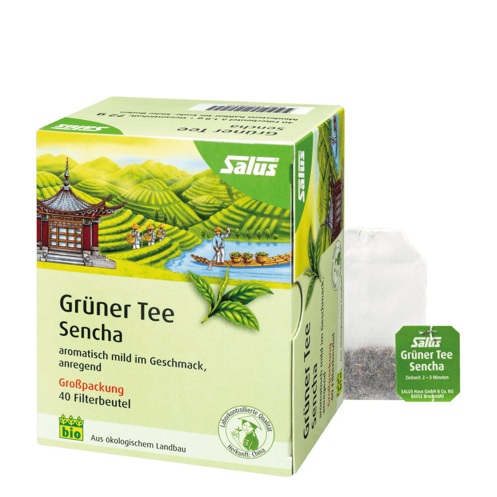 Salus Grüner Tee Sencha Bio 40 Filterbeutel