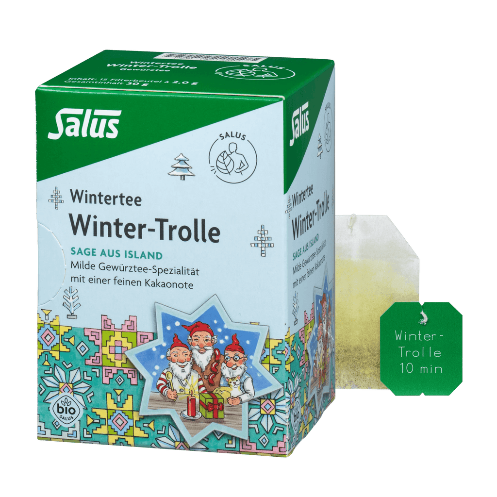 Salus Winter-Trolle Gewürztee Bio 15 Filterbeutel