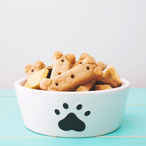 Hunde-Leckerli
