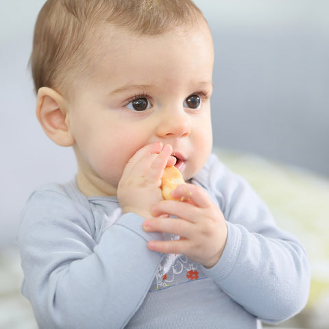 Babynahrung kaufen