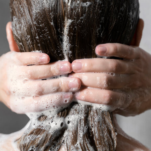 Logona Shampoo