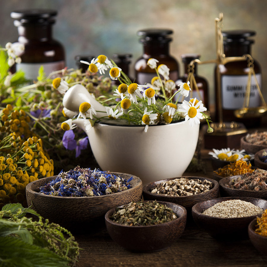 Hochwertige Bio Produkte | Auwald Bio Hochwertige Bio Produkte | Auwald Bio