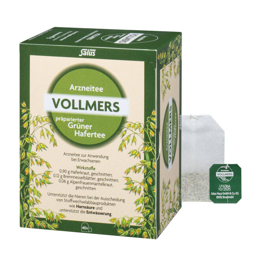 Salus Vollmers präparierter Grüner Hafertee N Großpackung 40er Filterbeutel