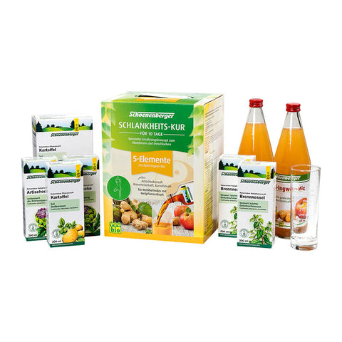 Schoenenberger Schlankheits-Kur „5-ELEMENTE" Apfel-Ingwer-Mix | 10-Tage Bio Saftkur