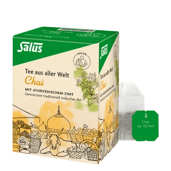 Salus Chai Ayurvedischer Kräuter-Gewürztee Bio 15 Filterbeutel