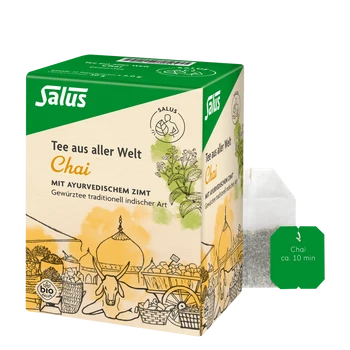 Salus Chai Ayurvedic herbal spice tea organic 15 filter bags