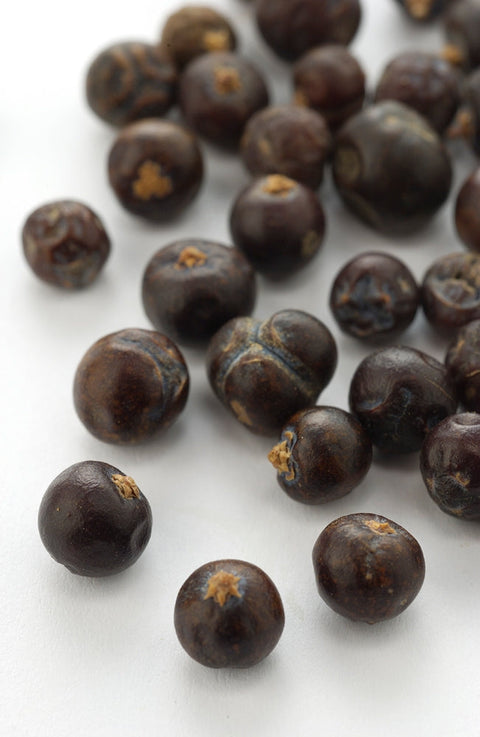 Lebensbaum Wacholderbeeren, ganz Bio 60g