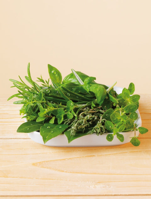 Lebensbaum Herbs of Provence, cut and dried organic 30g