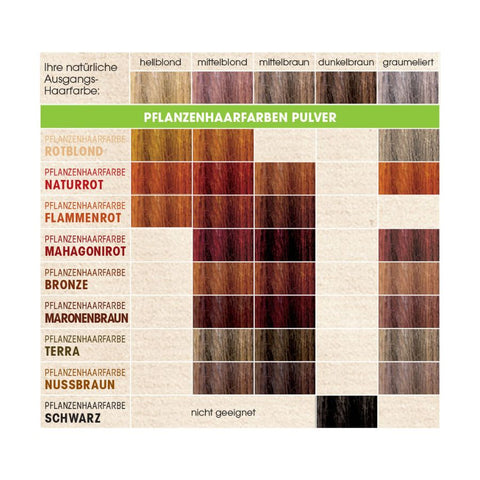 SANTE 100% Pflanzenhaarfarbe mit 3-Fach Pflegekomplex BRONZE 03 Bio 100g