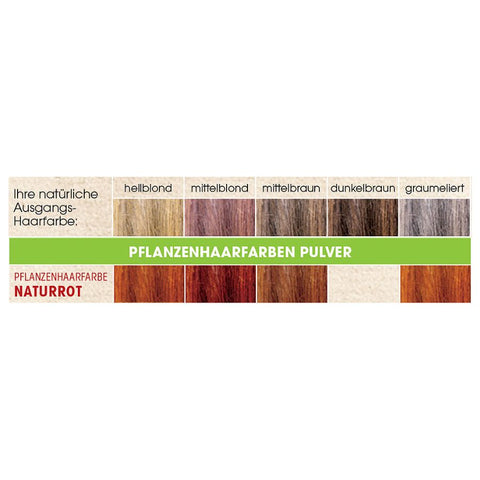 SANTE 100% Pflanzenhaarfarbe mit 3-Fach Pflegekomplex NATURROT 06 Bio 100g