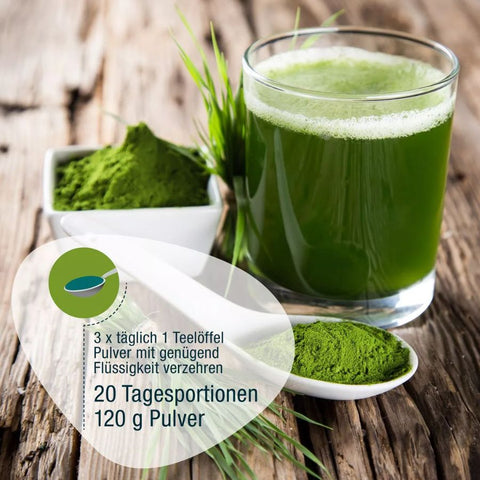 GSE ORGANIC barley grass powder 120g
