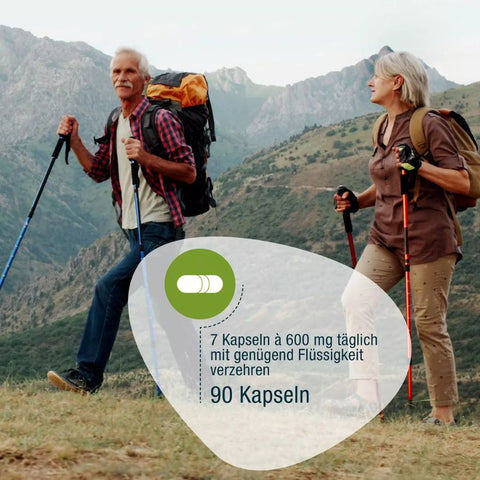 GSE Omega 3 Perillaöl 90 Kapseln à 600 mg Bio , 54g