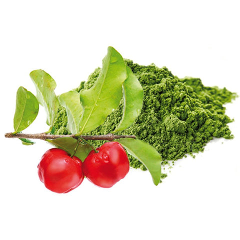 Sanatur Zinc Spirulina &amp; Acerola 180 capsules organic (90 g)