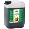 BYODO Aceto Balsamico di Modena IGP 5l organic 