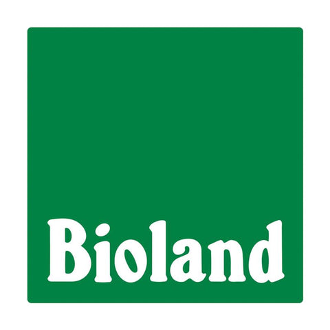 BYODO Apfelessig, naturtrüb, Bioland 10l