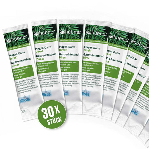 Anton Hübner Stomach-Intestinal Direct Organic - 30x 15ml portion sticks (450ml)