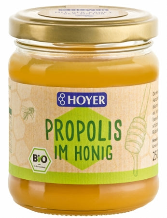 HOYER Propolis im Honig Bio 250g