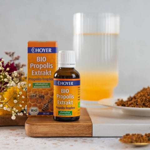 Hoyer Bio Propolis Extract alcohol-free 30ml