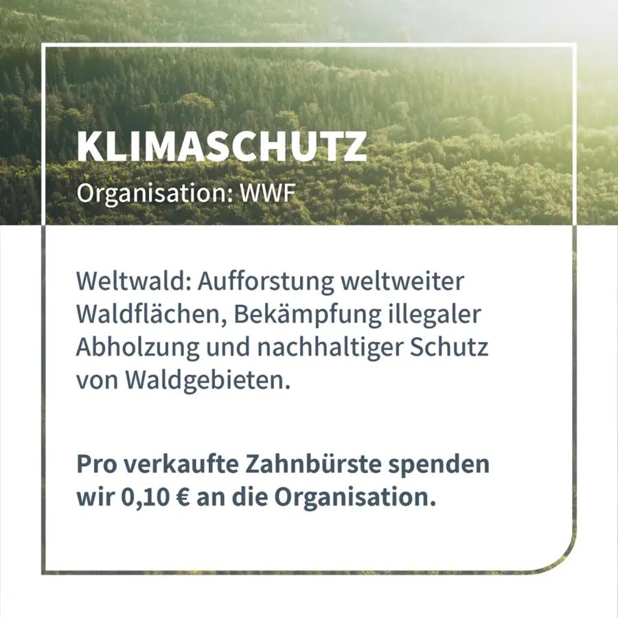 Niyok Choosebrush - Bambus Zahnbürste - KLIMASCHUTZ_4