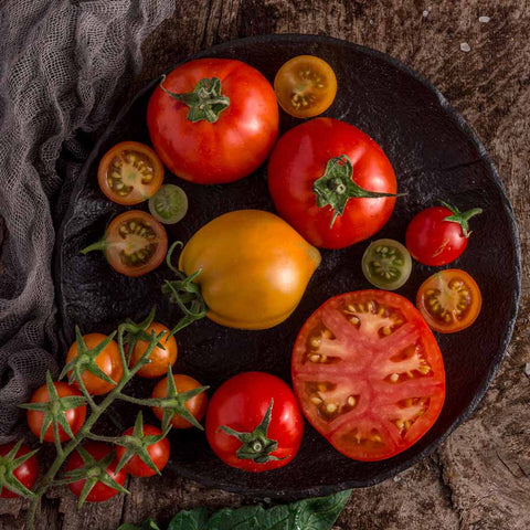 Polpa di Pomodoro