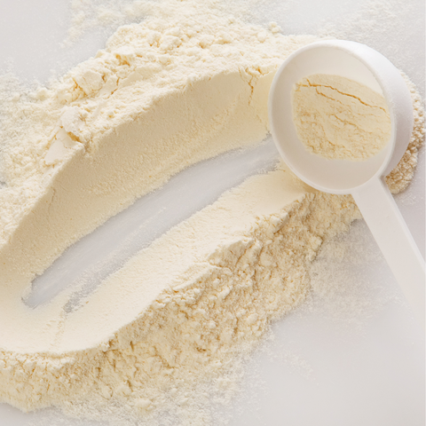 Bio Proteinpulver