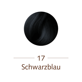 SANOTINT_classic17Schwarzblau125ml