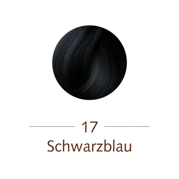 SANOTINT® classic 17 Schwarzblau 125ml
