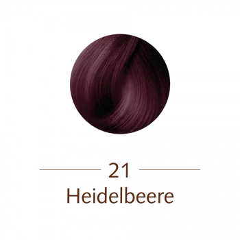 SANOTINT® classic 21 Heidelbeere 125ml