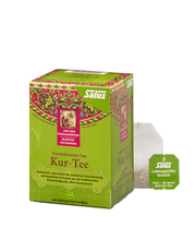 Salus Klosterkräuter Kur-Tee Bio 15 Filterbeutel