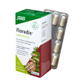 Salus Floradix Eisen plus B12 vegan Kapseln 40 Kps