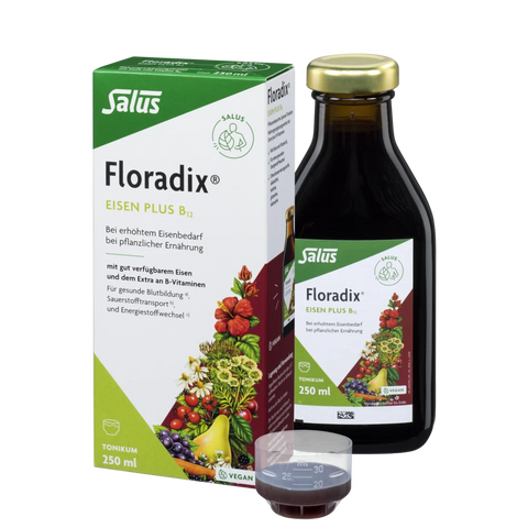 Salus Floradix Eisen plus B12 Tonikum 250ml