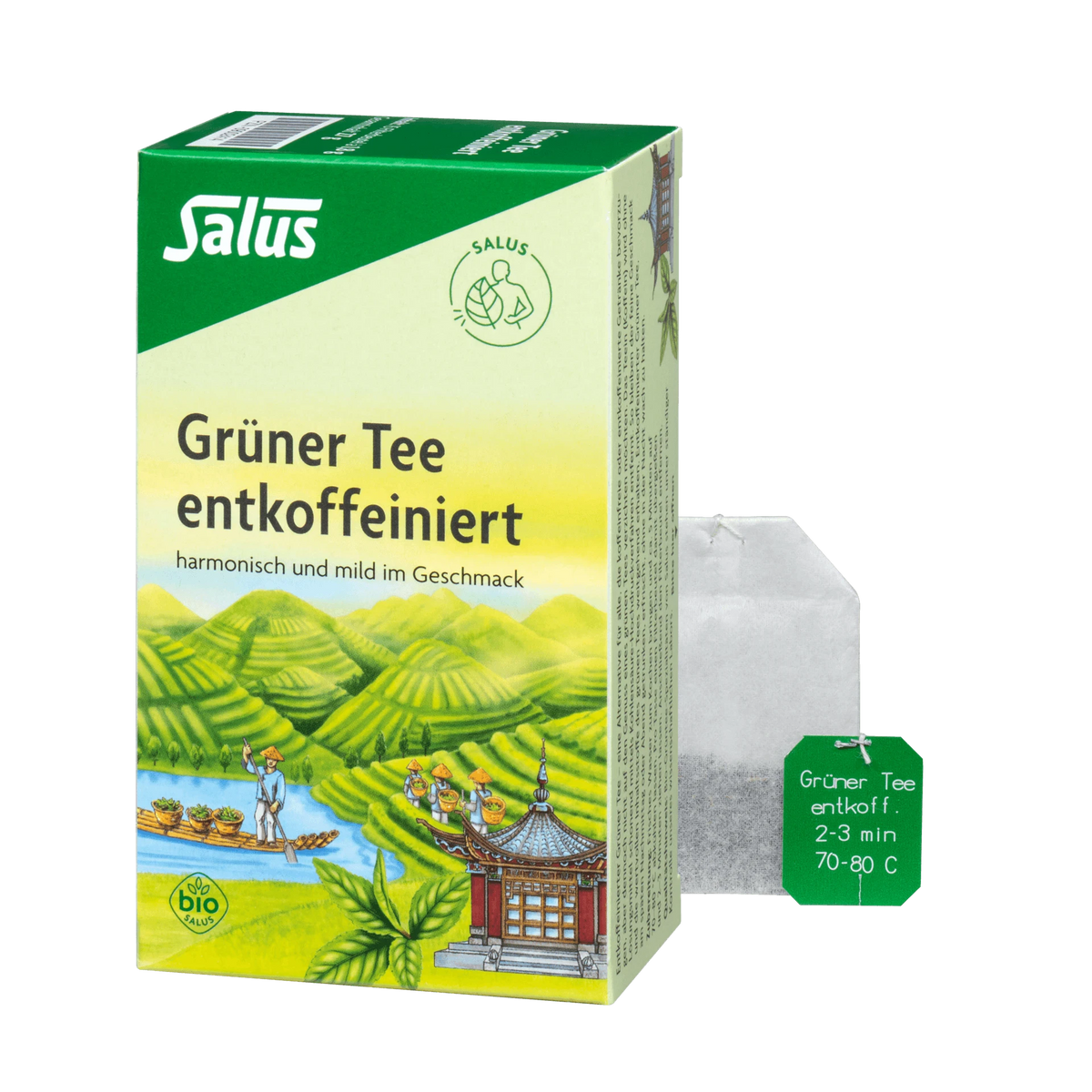 Grüner Tee Entkoffeiniert Salus Bio 15 Filterbeutel