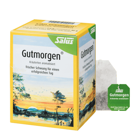 Salus Gutmorgen Kräutertee Bio 15 Filterbeutel