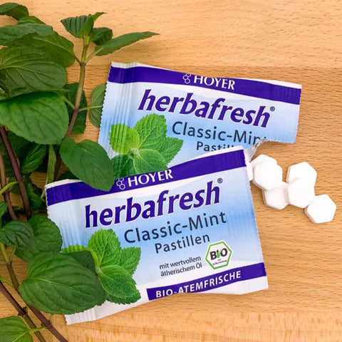 Hoyer herbafresh Classic-Mint pastilles organic 17g