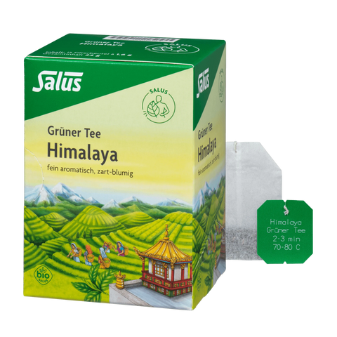 Salus Grüner Tee Himalaya 15 Filterbeutel Bio