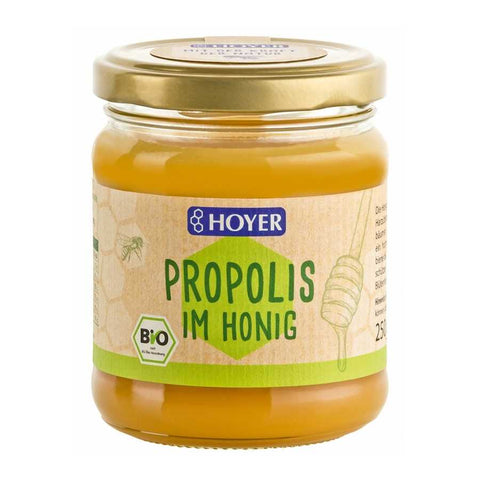 HOYER Propolis im Honig Bio 250g