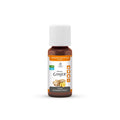Lemon Pharma Ingwer Tropfen Ginjer Forte Bio, 20 ml