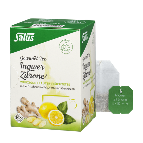 Salus Gourmet Ingwer Zitrone, Kräuter-Früchtetee Bio 15 Filterbeutel