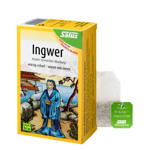 Salus Ingwer Kräuter-Gewürztee-Mischung Bio 15 Filterbeutel