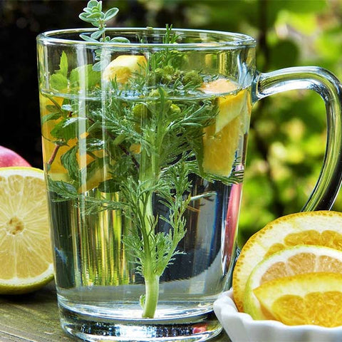 Salus Kräutertee