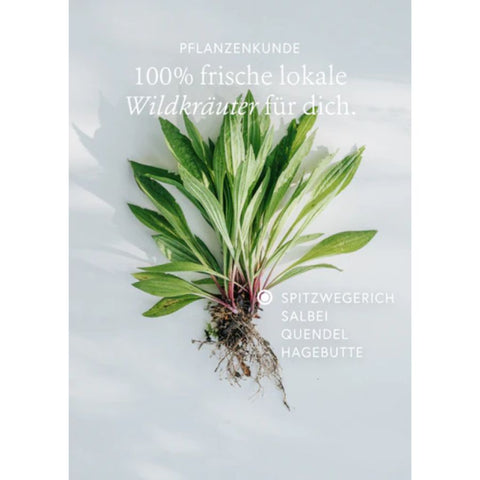 kruut Wildkräuterauszug Immun Bio 150ml