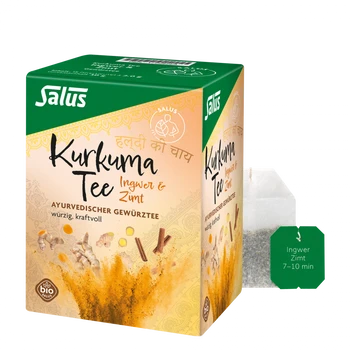 Salus Kurkuma Tee Ingwer & Zimt Bio 15x2g