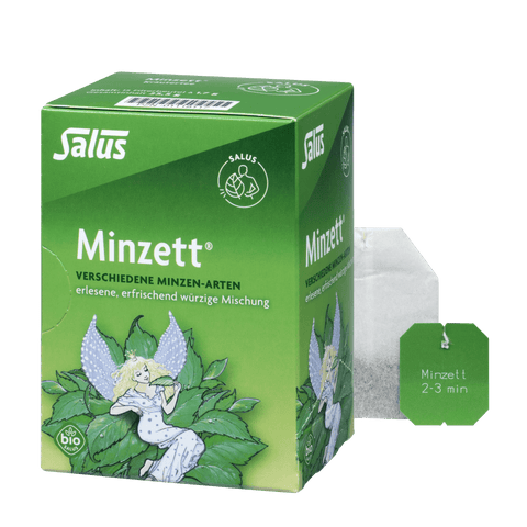 Salus Minzett Kräutertee Bio 15 Filterbeutel MHD 29.06.2026