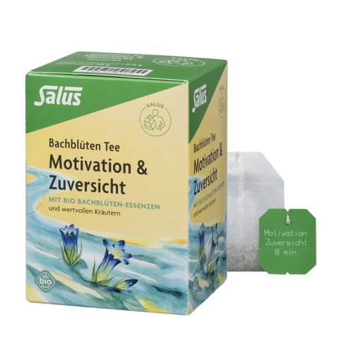 Salus Bachblüten Tee „Motivation & Zuversicht“ Bio 15 FB