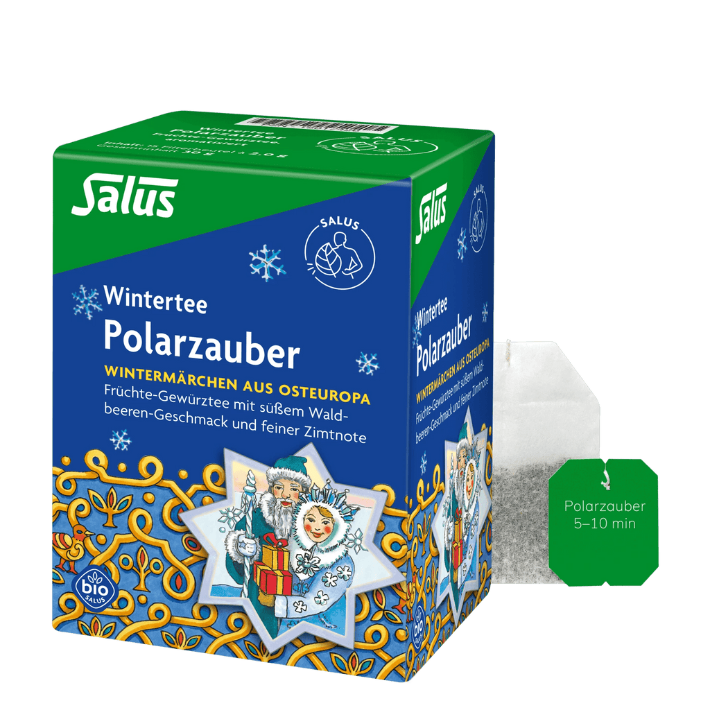 Salus Polarzauber Früchte-Gewürztee Bio 15 Filterbeutel