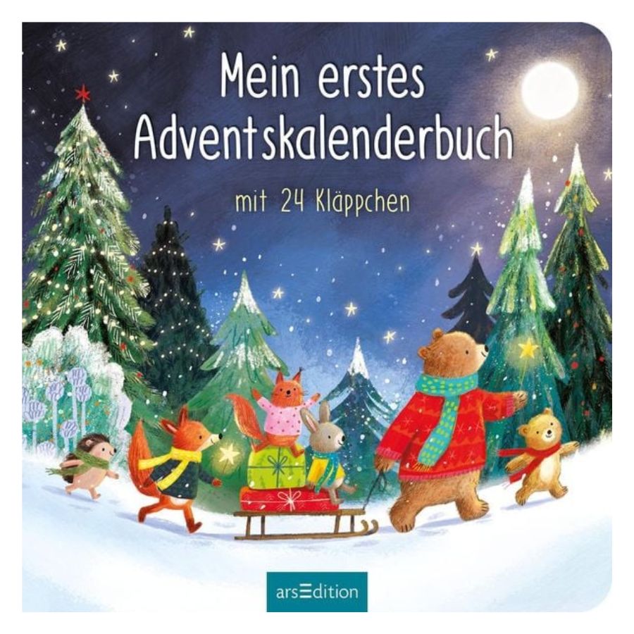 Mein erstes Adventskalenderbuch