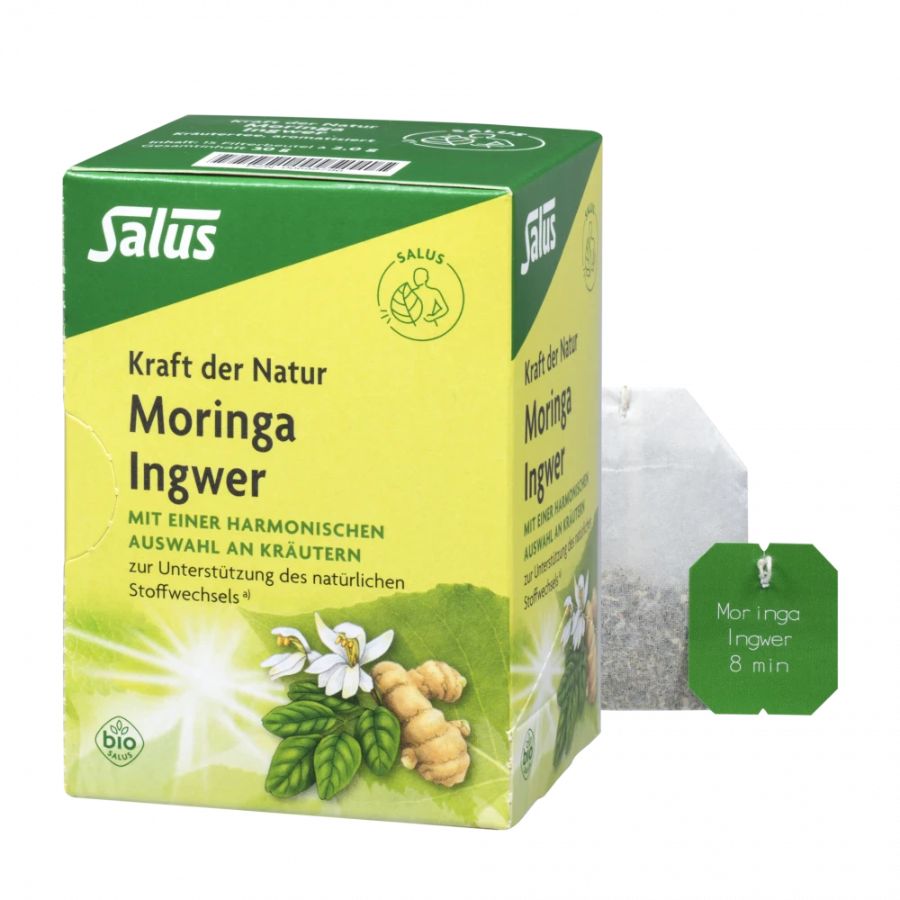 Salus Moringa Ingwer Kräutertee Bio 15 FTBL