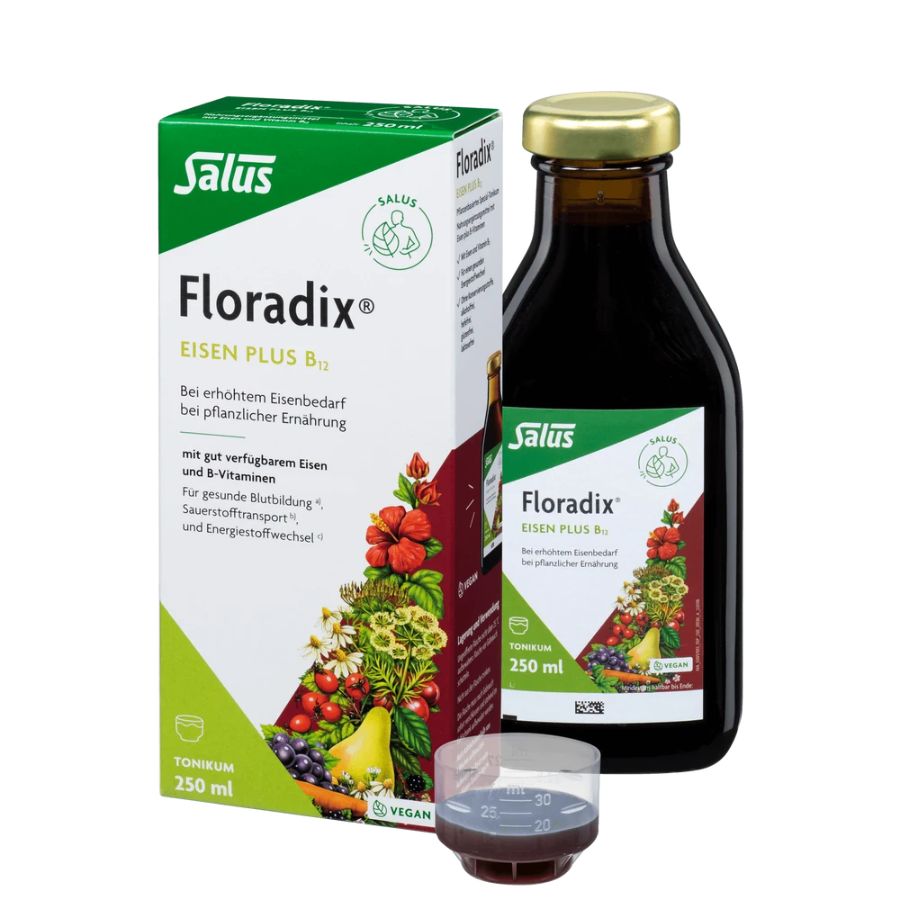 Salus Floradix Eisen plus B12 vegan 250ml