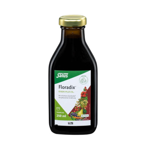 Salus Floradix Eisen plus B12 Tonikum 250ml